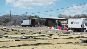 zwei LKWs vor einem kleinen Haus mit ausladendem Dach