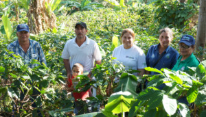 Fünf Mitglieder der Kooperative Miraflor zwischen Kaffeepflanzen